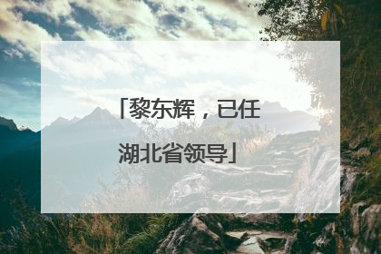 黎东辉，已任湖北省领导