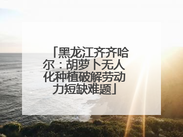 黑龙江齐齐哈尔：胡萝卜无人化种植破解劳动力短缺难题