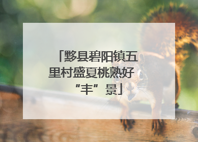 黟县碧阳镇五里村盛夏桃熟好“丰”景