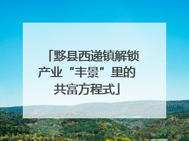 黟县西递镇解锁产业“丰景”里的共富方程式