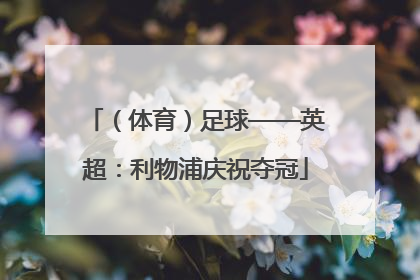 （体育）足球——英超：利物浦庆祝夺冠