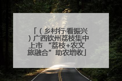 （乡村行·看振兴）广西钦州荔枝集中上市 “荔枝+农文旅融合”助农增收