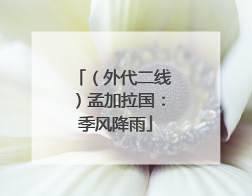 （外代二线）孟加拉国：季风降雨