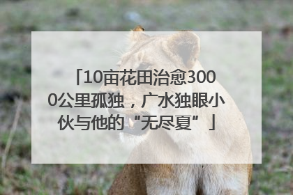 10亩花田治愈3000公里孤独，广水独眼小伙与他的“无尽夏”