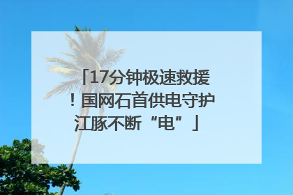 17分钟极速救援！国网石首供电守护江豚不断“电”