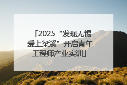 2025“发现无锡 爱上梁溪”开启青年工程师产业实训