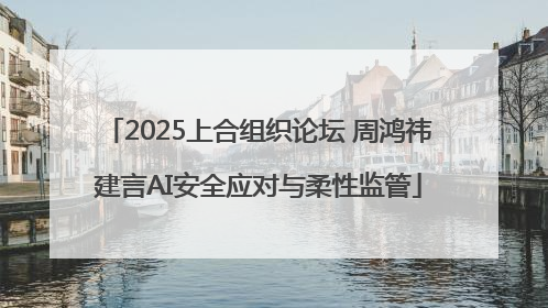 2025上合组织论坛 周鸿祎建言AI安全应对与柔性监管