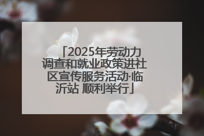 2025年劳动力调查和就业政策进社区宣传服务活动·临沂站 顺利举行