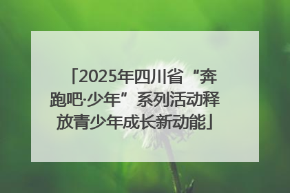 2025年四川省“奔跑吧·少年”系列活动释放青少年成长新动能