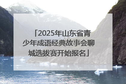 2025年山东省青少年成语经典故事会聊城选拔赛开始报名