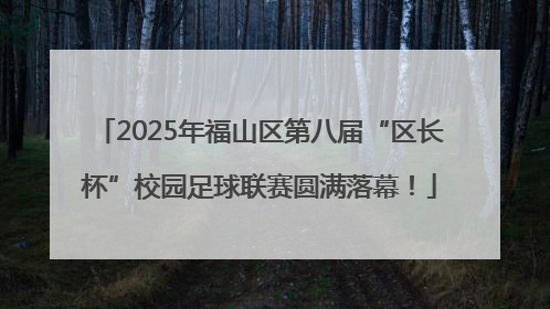2025年福山区第八届“区长杯”校园足球联赛圆满落幕！