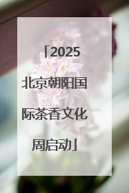 2025北京朝阳国际茶香文化周启动