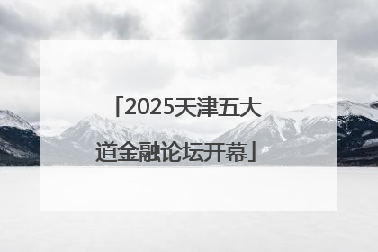 2025天津五大道金融论坛开幕