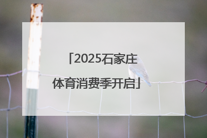 2025石家庄体育消费季开启