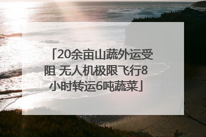 20余亩山蔬外运受阻 无人机极限飞行8小时转运6吨蔬菜
