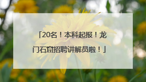 20名！本科起报！龙门石窟招聘讲解员啦！