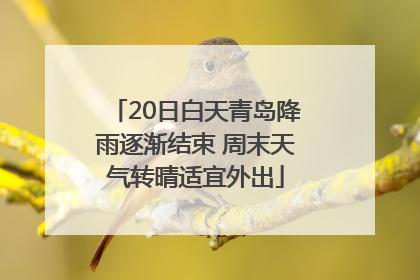 20日白天青岛降雨逐渐结束 周末天气转晴适宜外出