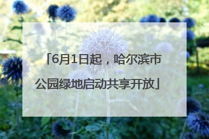 6月1日起，哈尔滨市公园绿地启动共享开放