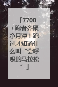 7700+跑者齐聚净月潭！跑过才知道什么叫“会呼吸的马拉松”