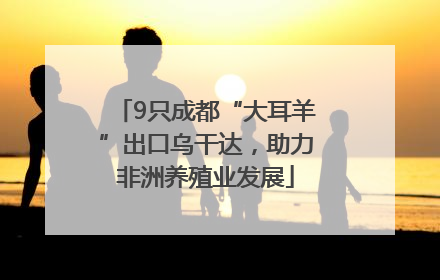 9只成都“大耳羊”出口乌干达，助力非洲养殖业发展