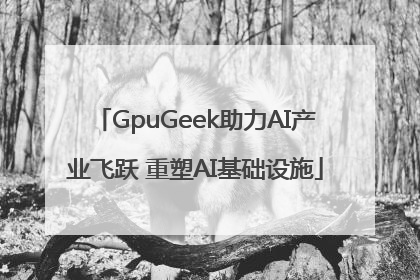 GpuGeek助力AI产业飞跃 重塑AI基础设施